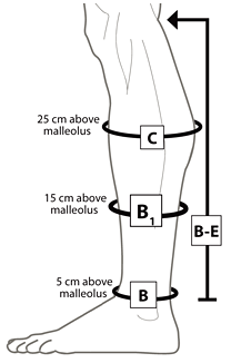 Sizing Image